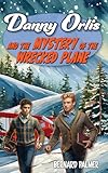 Free eBook - Danny Orlis and the Mystery of the Wrec