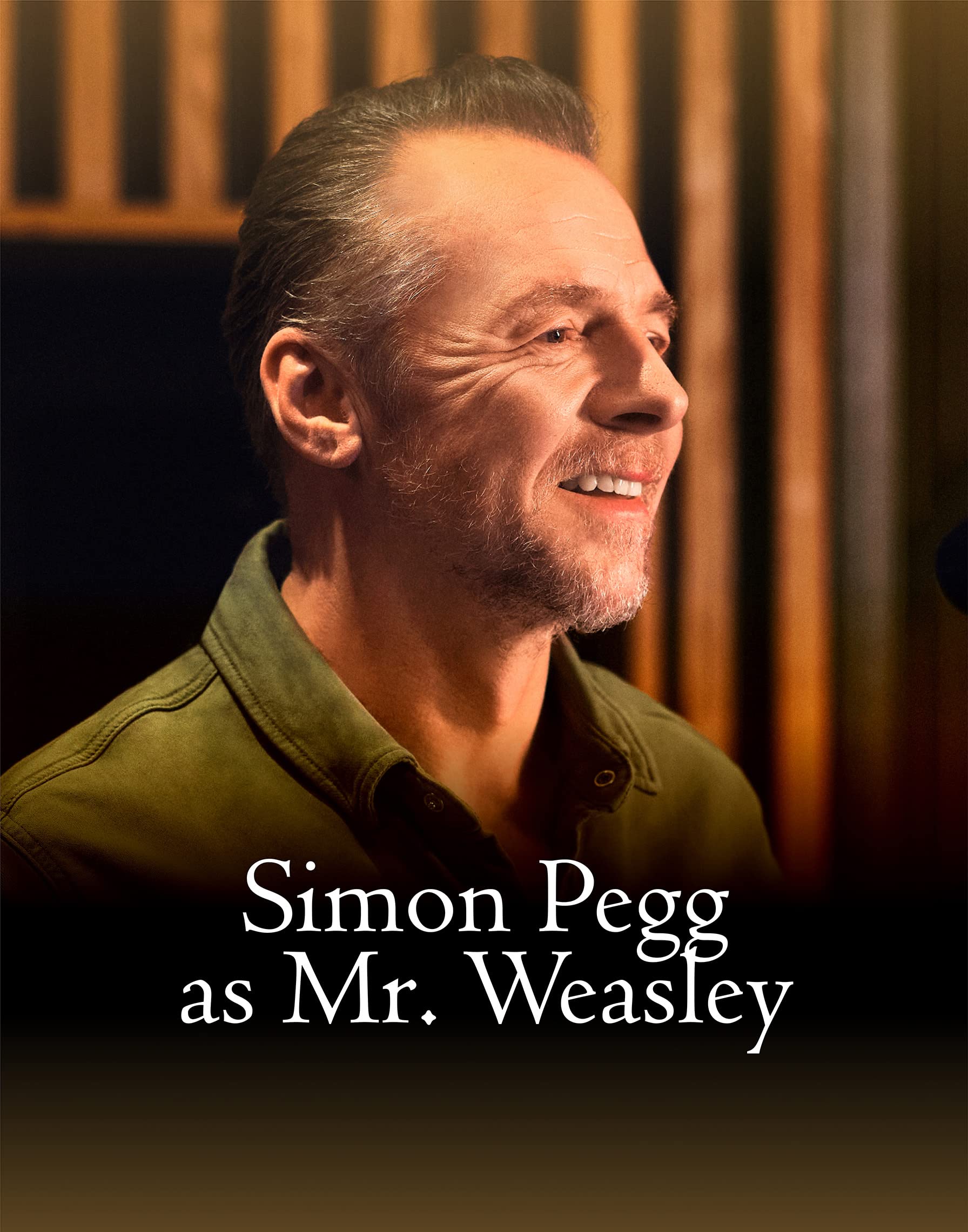 Simon Pegg as Mr Weasley