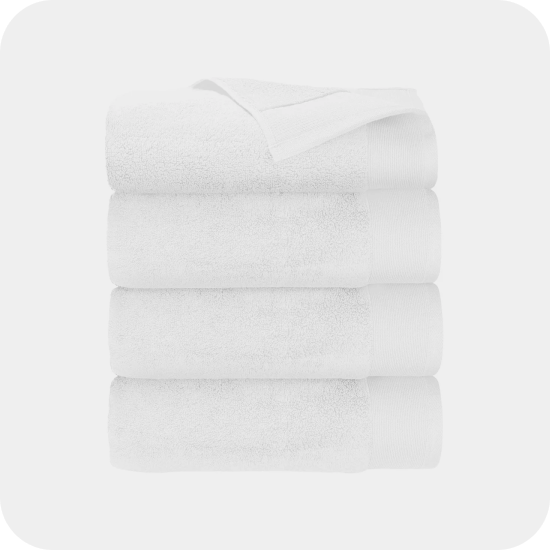 Sigma Beauty essential brush set