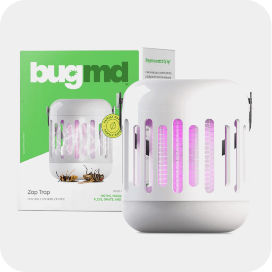 Geologie Skincare Set