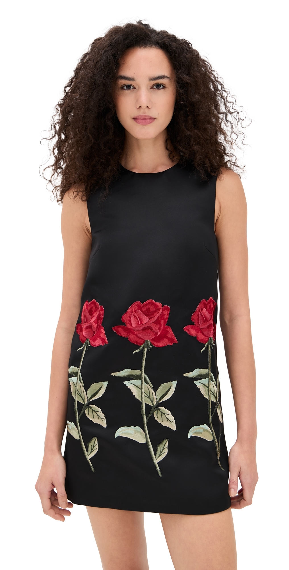 Leo Lin-women's Yvonne Embroidered Mini Dress Ebony In Black