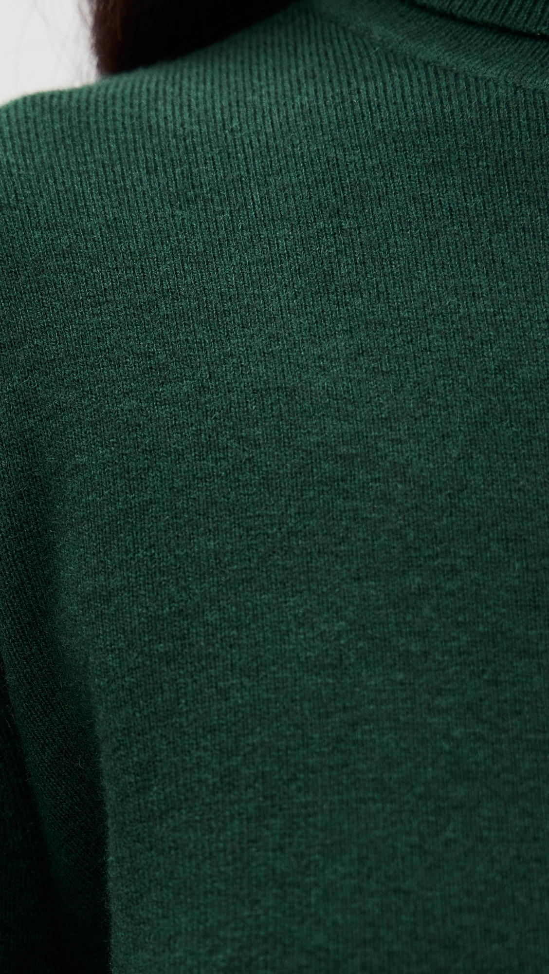 Susana Monaco Oversized Turtleneck Sweater thumbnail