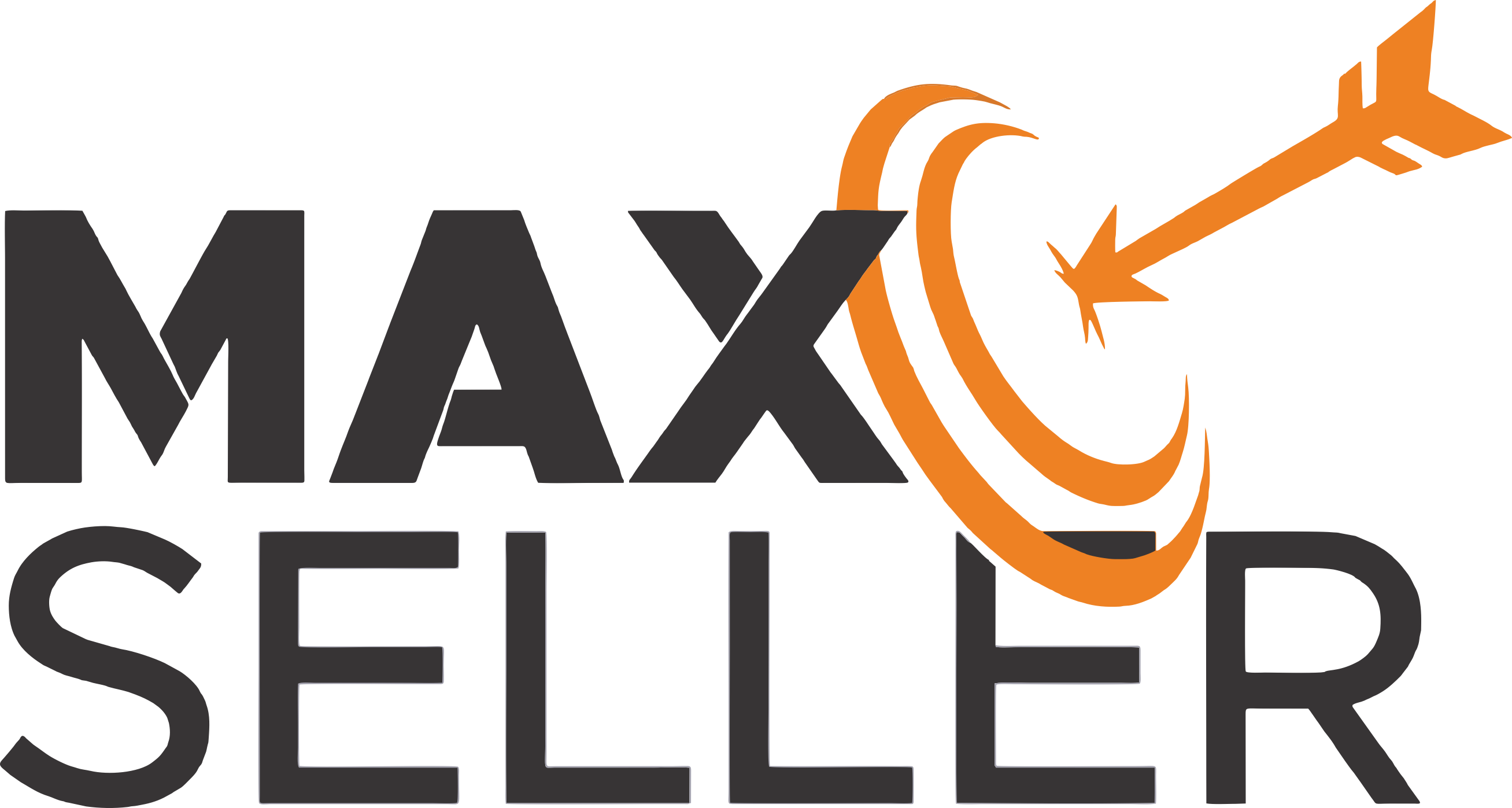 Logo Max Seller