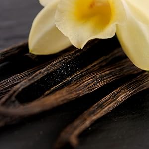 LE PETIT MARSEILLAIS -