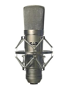 Amazon.com: CAD GXL2200SP Studio Condenser Mic Recording