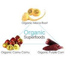 Small manufacture image 6