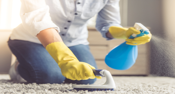 Refresh your living space with our best-selling cleaning supplies!