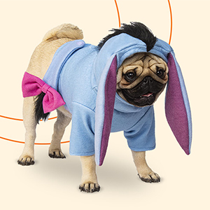 Halloween Fun for Pets