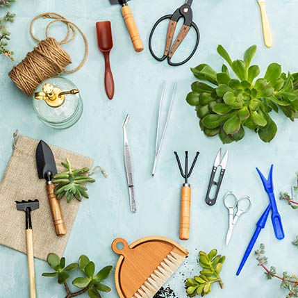 Yard Improvement Essentials