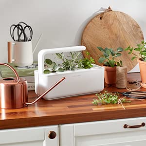 Most loved on @amazonhome