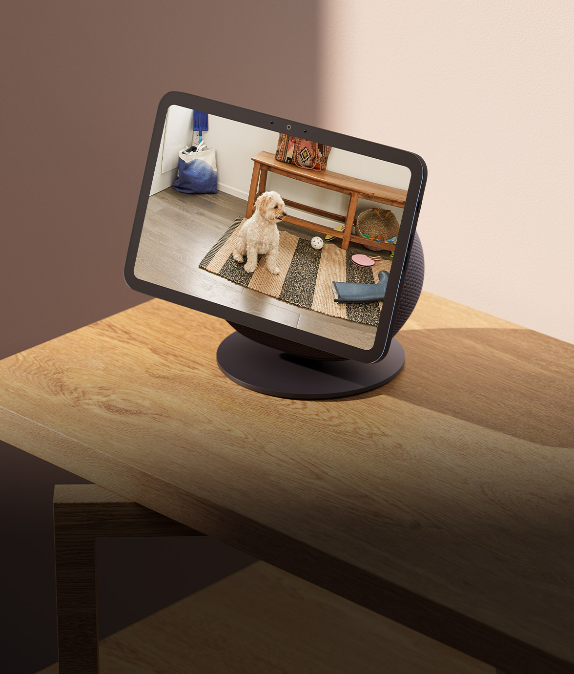 The image shows an Echo Show 8 smart display on a wooden table. On the screen, a small cream-colored dog sits on a patterned rug in a home interior with a wooden console table in the background.