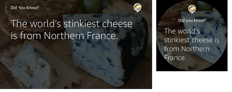 Body Template 1 with 1-2 lines of text on Echo Show and Echo Spot