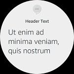 Echo Show Header Text