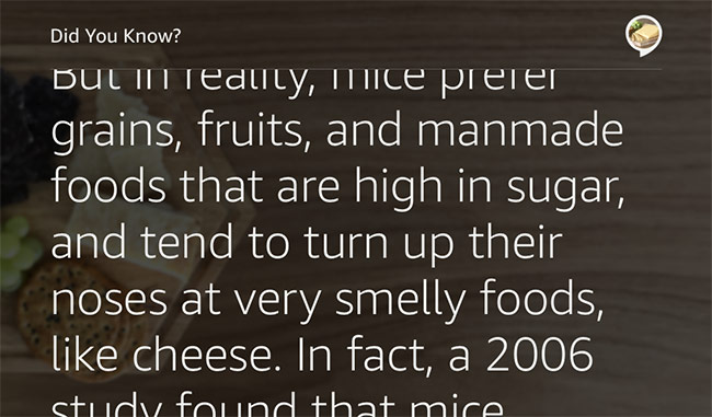 Textvorlage 1 mit langem Text, der durch Berührung durchgeblättert werden kann