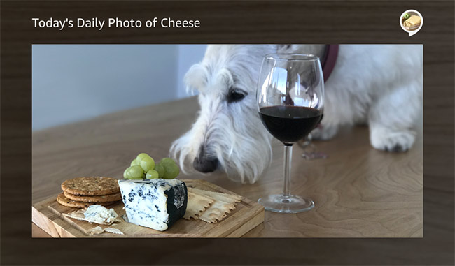 Textvorlage 1 mit einem eingebundenen Bild in voller Breite