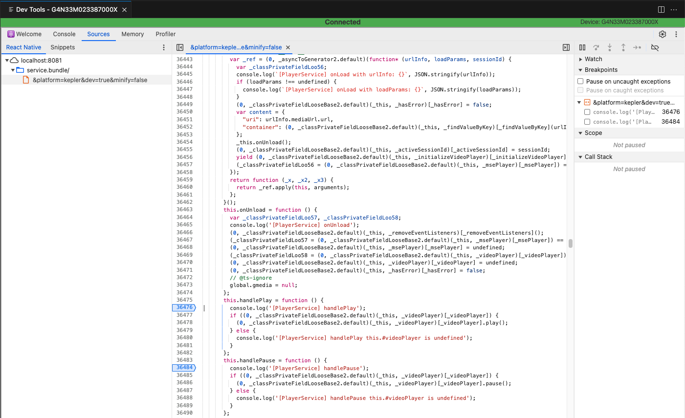 Screenshot of the Dev Tools service bundle.