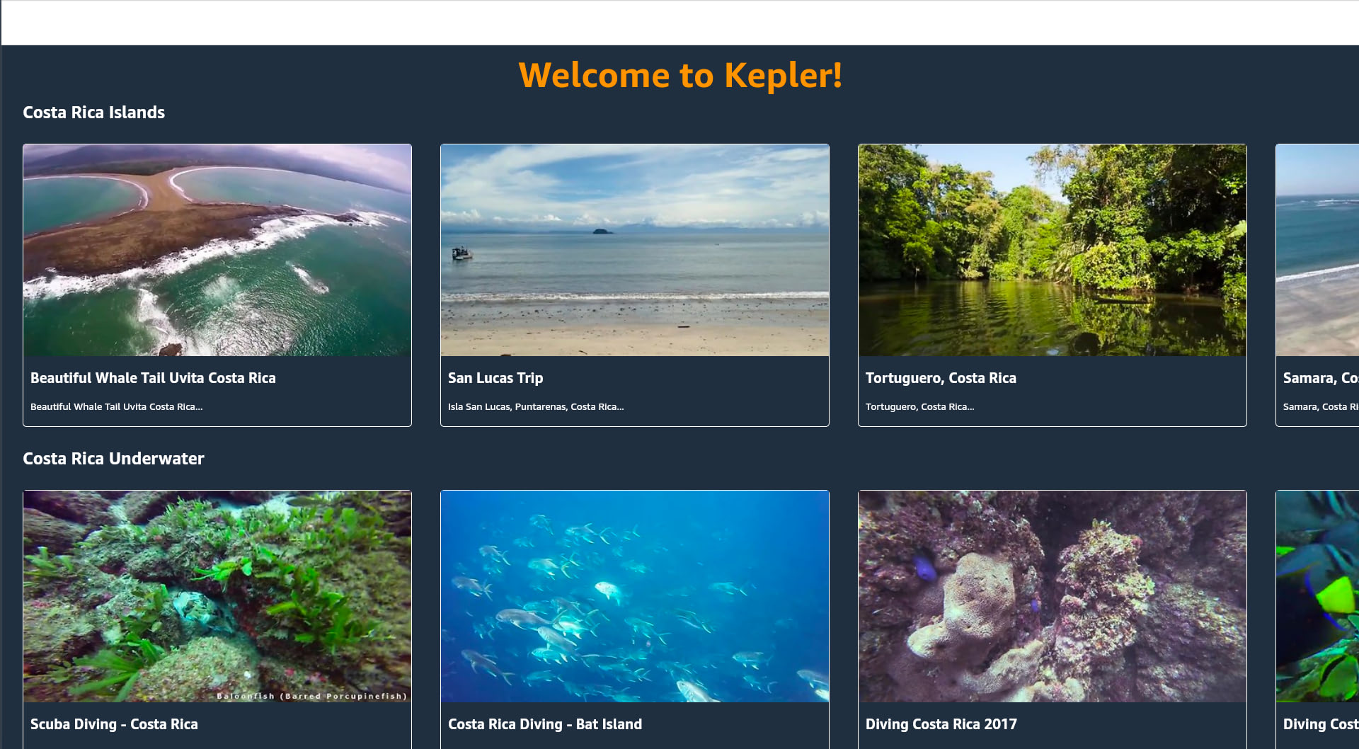 Stack navigator with white bar