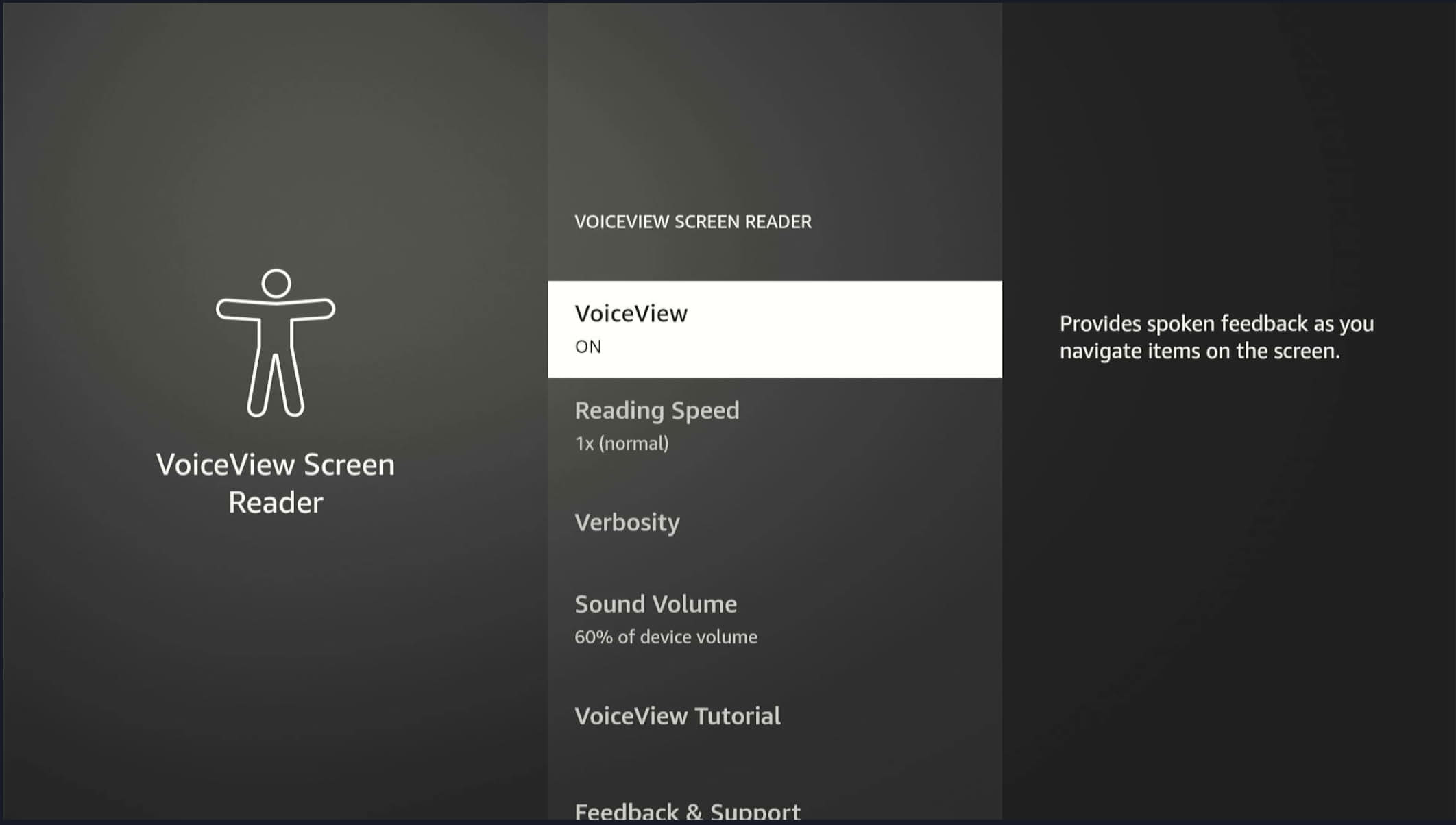 Turning on VoiceView in the Fire TV menu