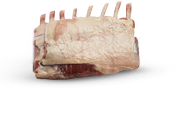 Lamb