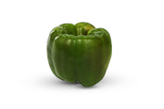 Fresh Vegetables