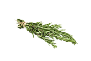 Herbs & Spices