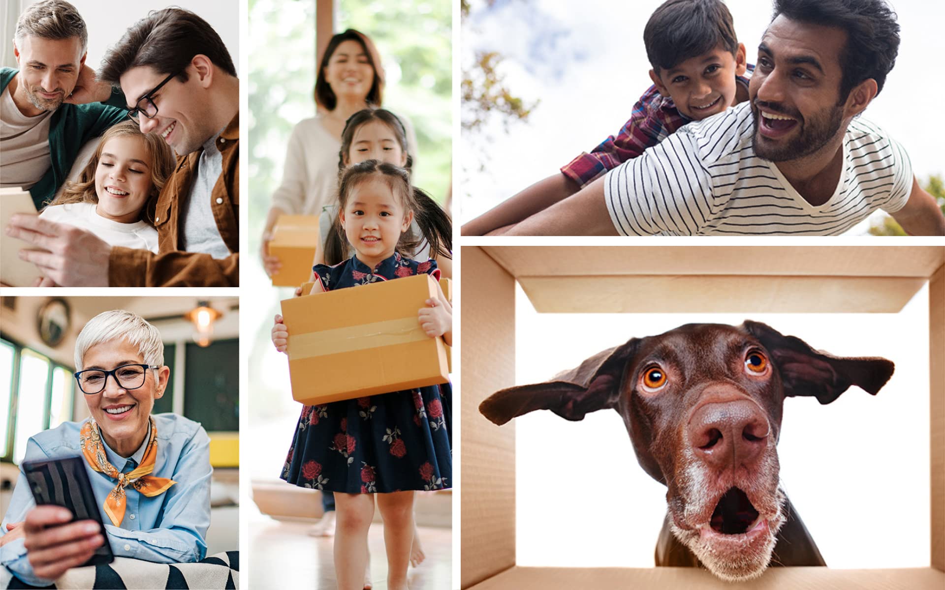 A collage of different families and a dog