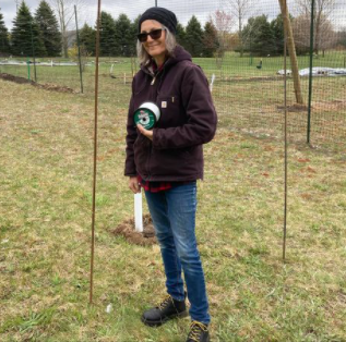 dr martens bonny chukka boots