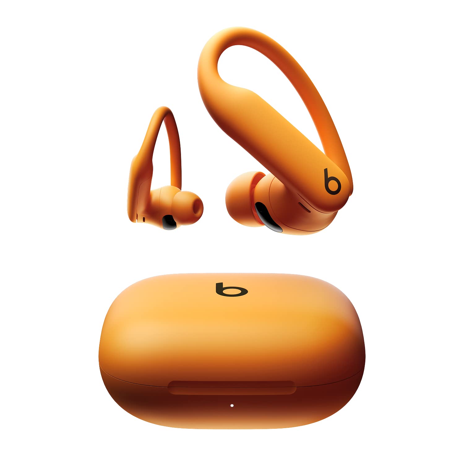 Beats Powerbeats Pro 2 Wireless Bluetooth Earbuds – Noise