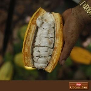 Small manufacture image 6