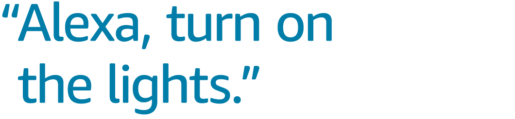 Alexa turn on the lights