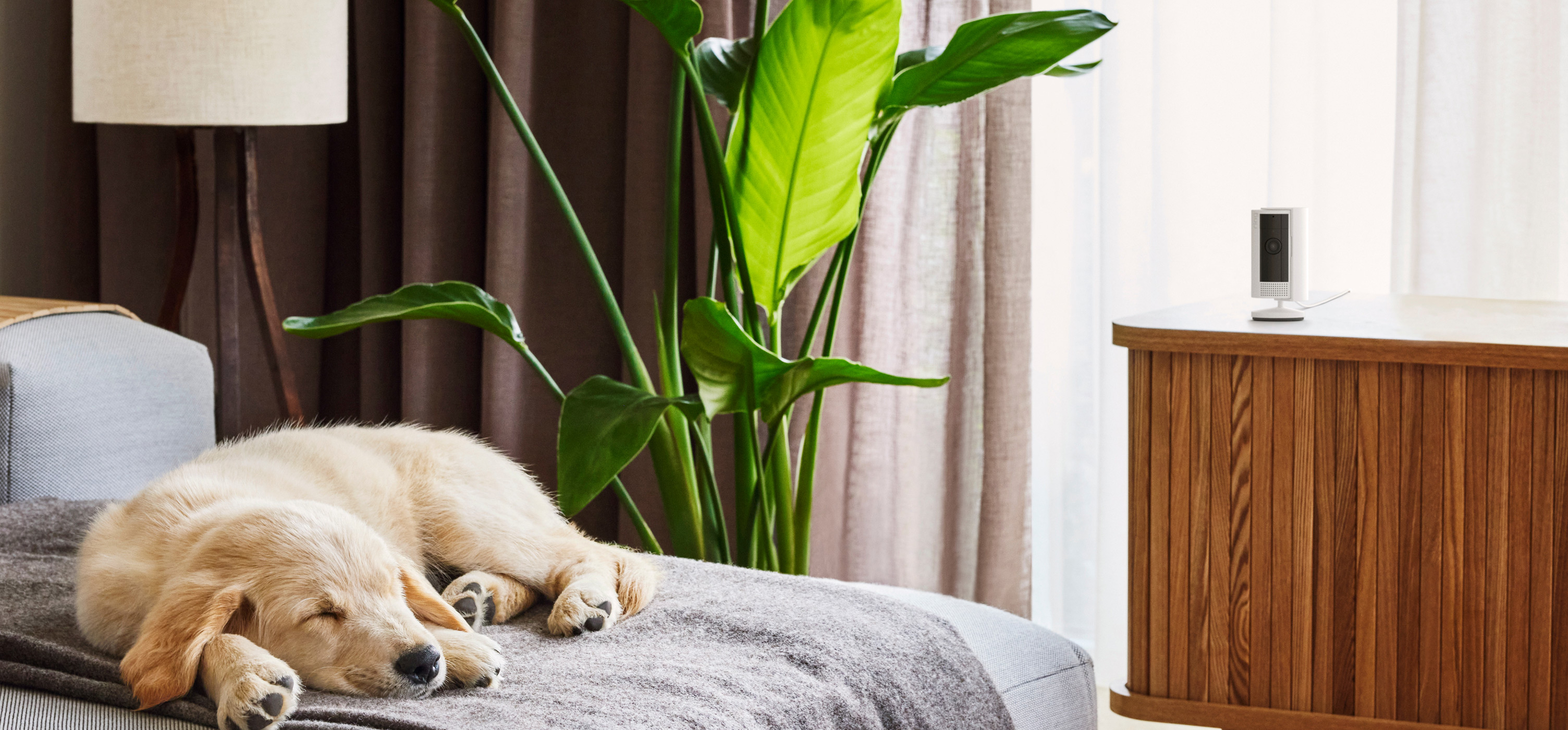 Protection wherever you need it