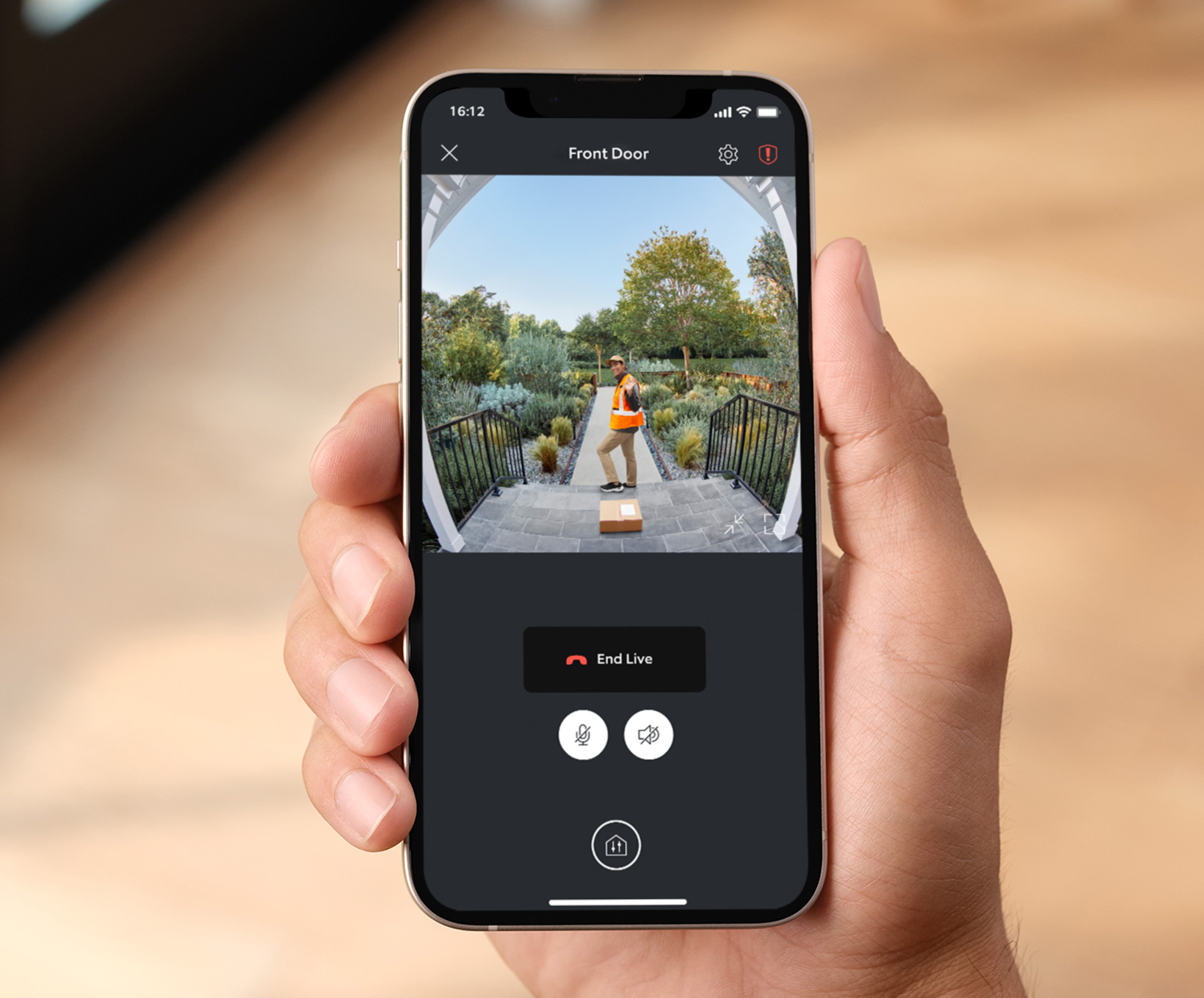 Expanded Head-to-Toe View