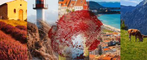 Tom Hillenbrand Interview