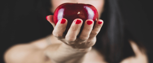 Die “Twilight”-Bücher von Stephenie Meyer in der richtigen Reihenfolge