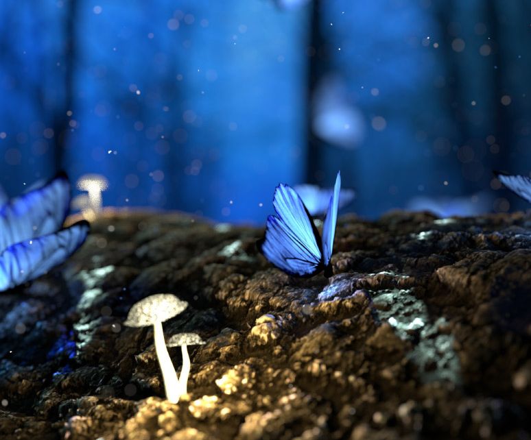 Top 10 Fantasy-Romance-Hörbücher I Audible Blog