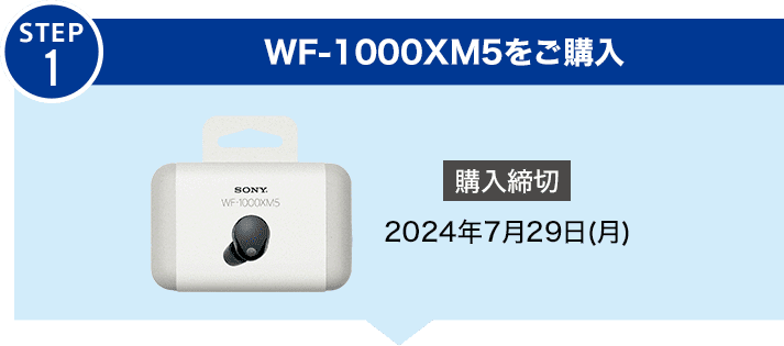 専用　値下げWF-1000XM4　2022年5月購入 WF-1000XM4 新品 4,599円 中古 4,500円 | ネット最安値の価格