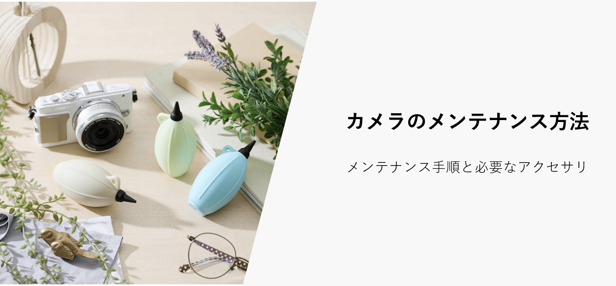 Amazon.co.jp: : すべてのカテゴリー