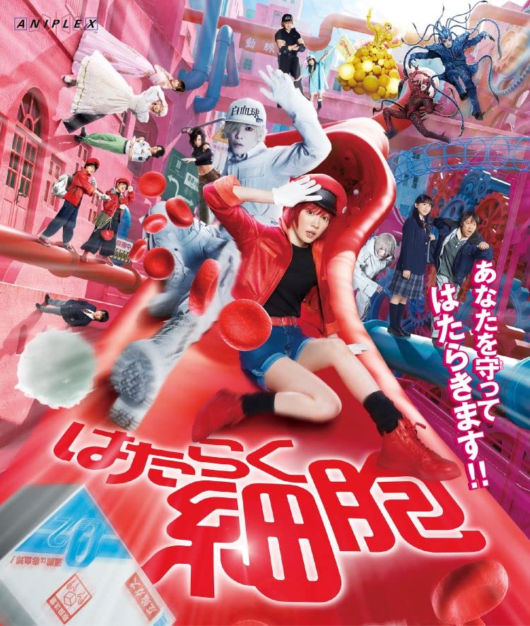 【DVD美品】はたらく細胞 一期 全巻セット はたらく細胞 全巻同時購入セット