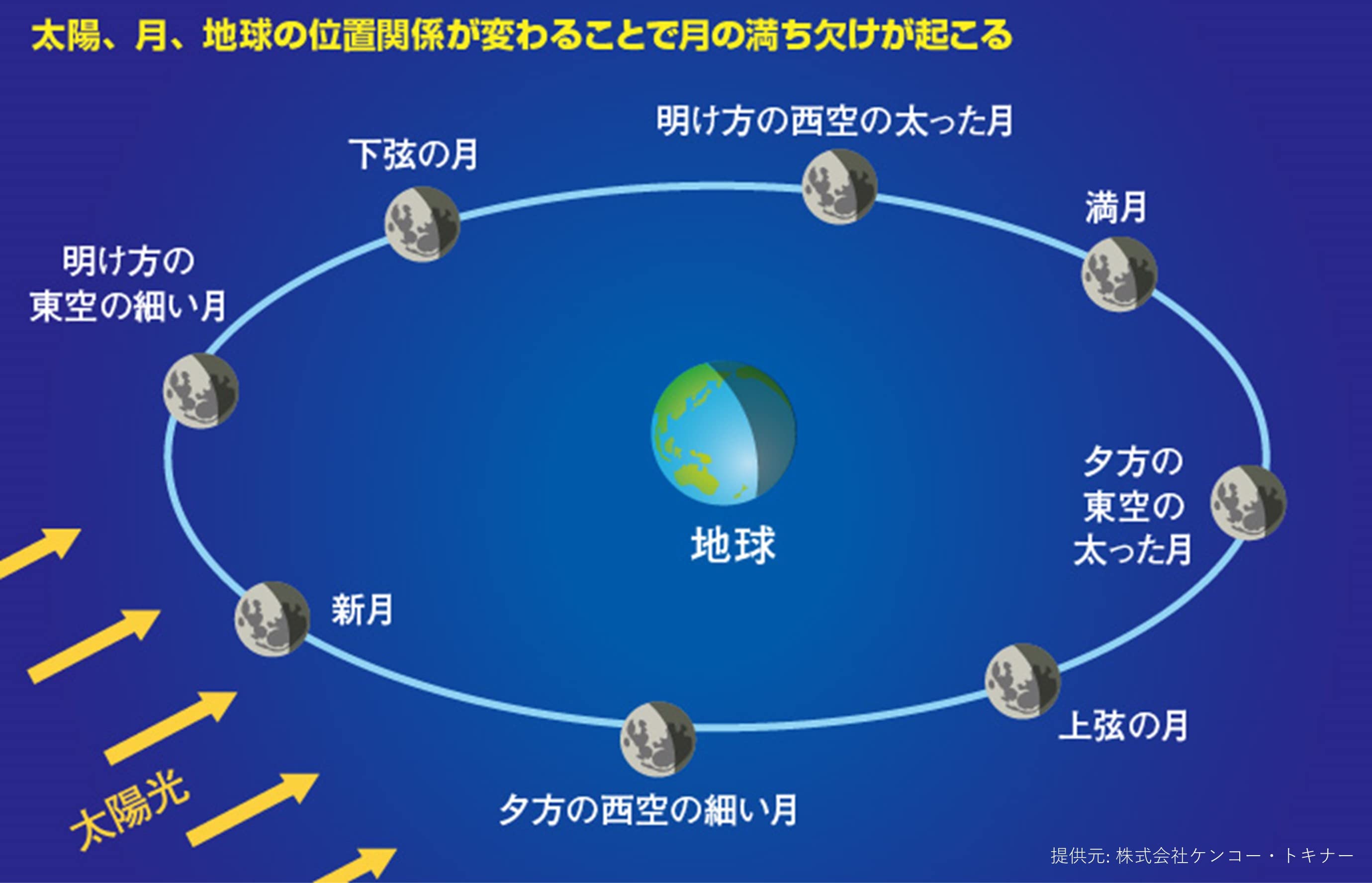 Amazon.co.jp: Optics_天体観測特集_2024: 家電＆カメラ