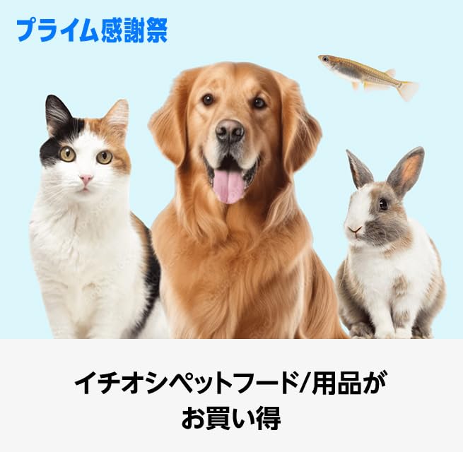 プライム感謝祭 イチオシペットフード＆用品 (10/10まで！)