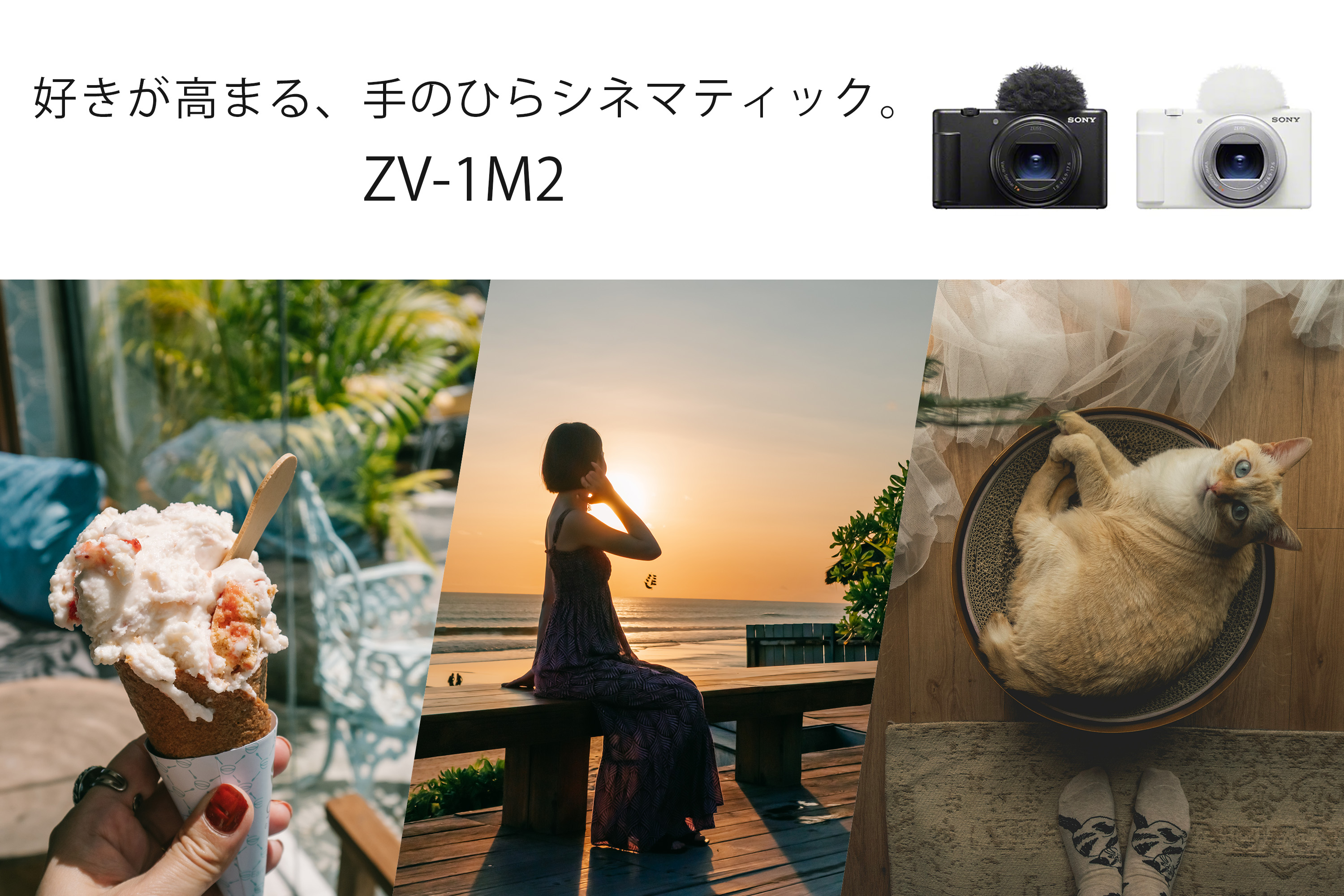 Amazon.co.jp: ソニー_2025_Summer_Vlog: 家電＆カメラ