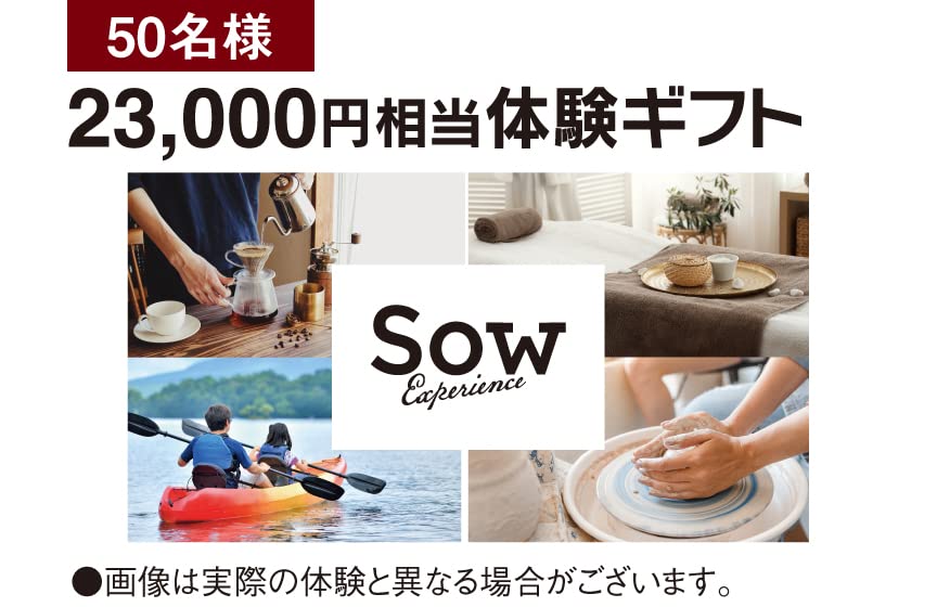 Amazon.co.jp: 865888