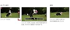 Panasonic LUMIX CM10