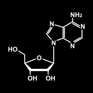 Amazon | アデノゲン (ADENOGEN) 薬用EX 300mL 【医薬部外品】 | アデノゲン (ADENOGEN) | 育毛・養毛 ...