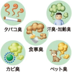 Small manufacture image 4