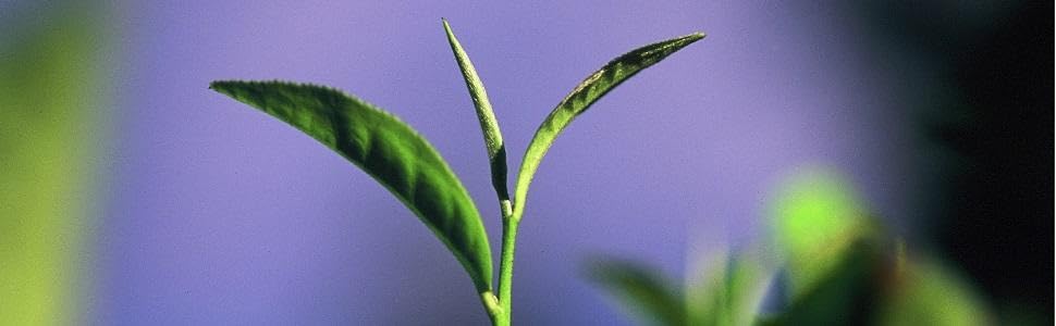 Small manufacture image 7