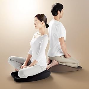 Amazon.co.jp: MTG 骨盤サポートチェア Style RITSUYO(スタイル