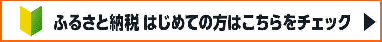 はじめてガイド