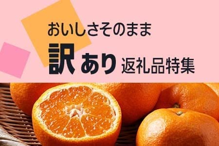 おいしさそのまま 訳あり返礼品特集