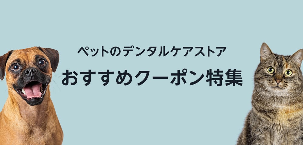 Amazon.co.jp: : すべてのカテゴリー